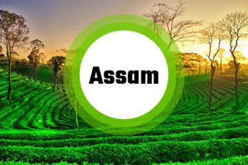 Assam